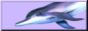 A button for Maddoxxing on Neocities.